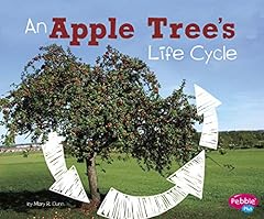 Apple tree life for sale  Delivered anywhere in USA 