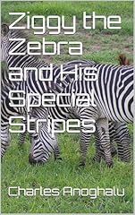 Ziggy zebra special for sale  Delivered anywhere in UK