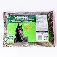 Naf seaweed horses for sale  Delivered anywhere in UK