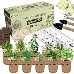 Herb garden planter for sale  Delivered anywhere in USA 