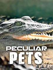 Peculiar pets for sale  Delivered anywhere in USA 