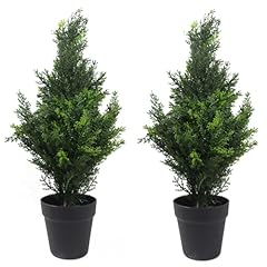 Leaf paires arbres d'occasion  Livré partout en France