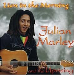 Lion the morning usato  Spedito ovunque in Italia 