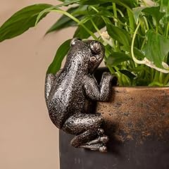 Kudriod frog flower for sale  Delivered anywhere in USA 