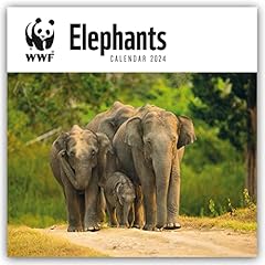 Wwf elephants elefanten for sale  Delivered anywhere in UK