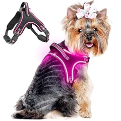 Light hundegeschirr leuchtend gebraucht kaufen  Wird an jeden Ort in Deutschland