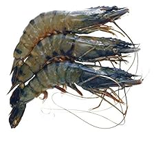 Whole tiger prawns for sale  Delivered anywhere in UK
