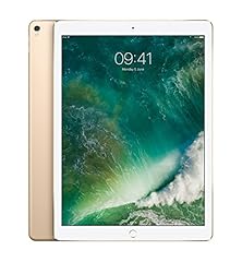 Apple ipad pro usato  Spedito ovunque in Italia 