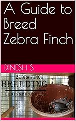 Guide breed zebra for sale  Delivered anywhere in UK