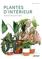 Plantes intérieur déco d'occasion  Livré partout en France