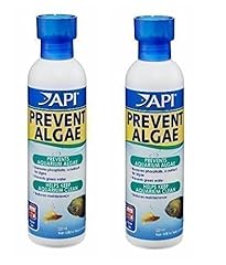 Api aquarium fish for sale  Delivered anywhere in UK