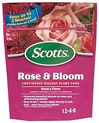 Scotts rose bloom for sale  Delivered anywhere in USA 