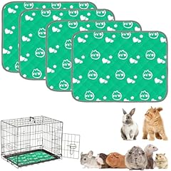 Mooydee pack guinea for sale  Delivered anywhere in USA 