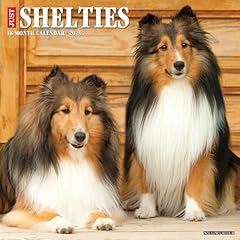 Shelties 2025 wall for sale  Delivered anywhere in UK