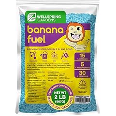 Wellspring gardens banana for sale  Delivered anywhere in USA 