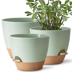 Tymensh plant pots for sale  Delivered anywhere in USA 