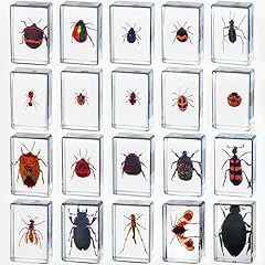 Pcs insect resin for sale  Delivered anywhere in UK