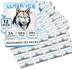 Dry ice packs for sale  Delivered anywhere in USA 
