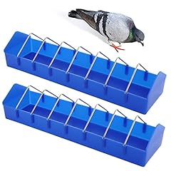 Pack large pigeon for sale  Delivered anywhere in USA 