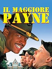 Maggiore payne usato  Spedito ovunque in Italia 