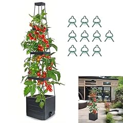 Qhinaster raised garden for sale  Delivered anywhere in USA 