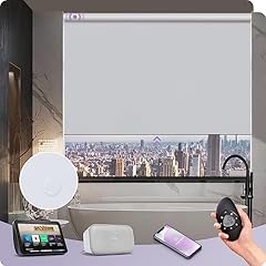 Graywind customized smart for sale  Delivered anywhere in UK