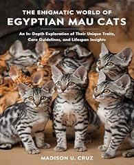 Enigmatic egyptian mau for sale  Delivered anywhere in USA 
