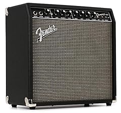 Fender champion combo usato  Spedito ovunque in Italia 