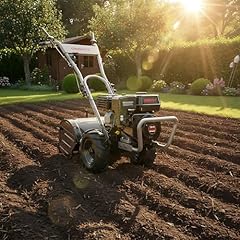 Nbest gartenfräse benzin gebraucht kaufen  Wird an jeden Ort in Deutschland