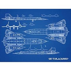 Artery8 blackbird habu for sale  Delivered anywhere in USA 