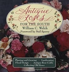 Antique roses south for sale  Delivered anywhere in USA 