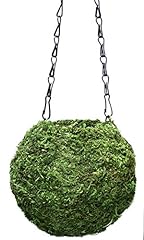 Supermoss kokedama planter for sale  Delivered anywhere in USA 