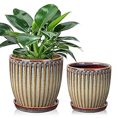 Set ceramic plant for sale  Delivered anywhere in UK