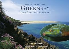 Sealife guernsey herm for sale  Delivered anywhere in UK