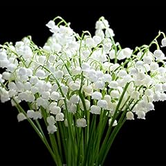 Qauzuy garden lily for sale  Delivered anywhere in USA 