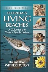 Florida living beaches for sale  Delivered anywhere in USA 