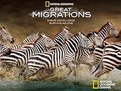 Great migrations for sale  Delivered anywhere in USA 