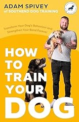 Train dog transform for sale  Delivered anywhere in Ireland