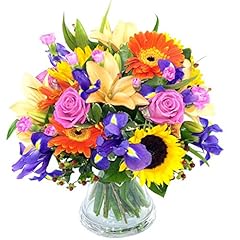 Clare florist fantastic for sale  Delivered anywhere in UK