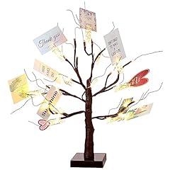 Money holder tree for sale  Delivered anywhere in USA 