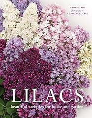Lilacs beautiful varieties for sale  Delivered anywhere in USA 