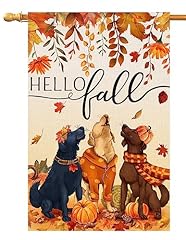 Blkwht fall dogs for sale  Delivered anywhere in USA 