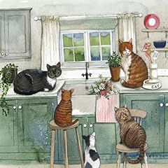 Alex clark cats for sale  Delivered anywhere in UK