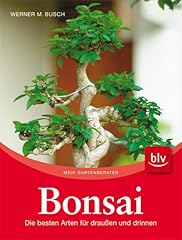 Bonsai besten arten gebraucht kaufen  Wird an jeden Ort in Deutschland