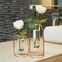 Putwo vases set for sale  Delivered anywhere in USA 