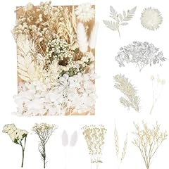 Laumoe dried flowers for sale  Delivered anywhere in UK