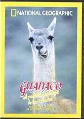 Guanaco camello los d'occasion  Livré partout en France