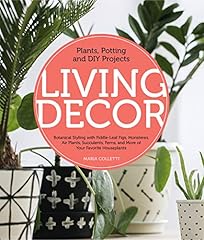 Living decor plants d'occasion  Livré partout en France