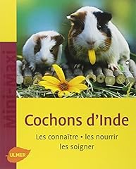 race cochon nain d'occasion race cochon nain d'occasion Livré partout en France