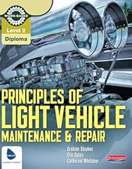 Level principles light for sale  Delivered anywhere in UK